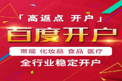 行业领先企业的SEM代理案例剖析